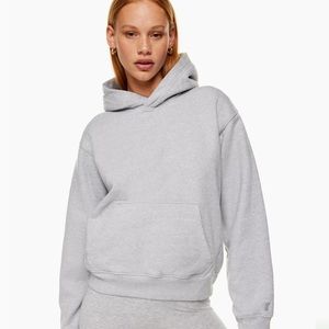 Aritzia TNA Extra Fleece Perfect Hoodie